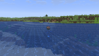 Bocchi Rock bouncing off water
