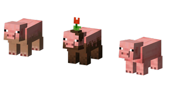 Pigs