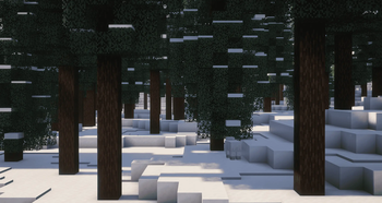 In the forest