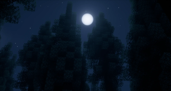Spruce