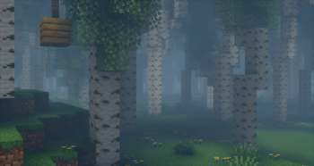 Birch fog