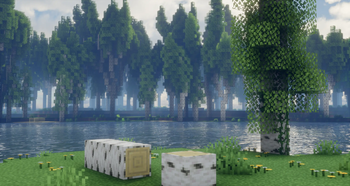 River