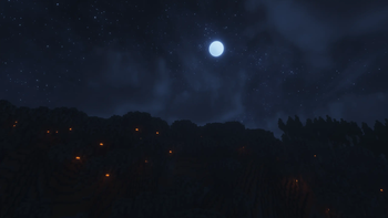 Pale garden at night