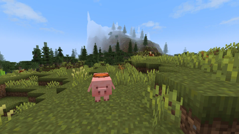 Pig (Saddled
