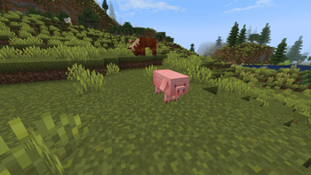 Pig