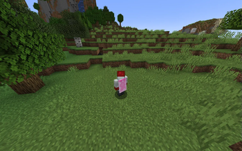 Minecraft Cape