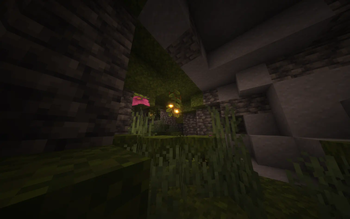 Lush Cave