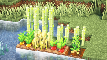 3D Crops