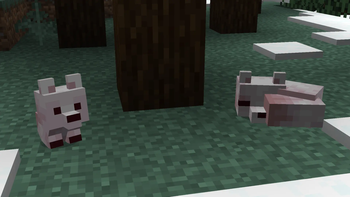 Arcitc Foxes