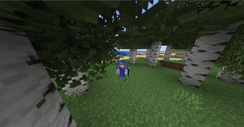 3rd Person with Diamond Armor