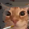 cat cigarette resource pack