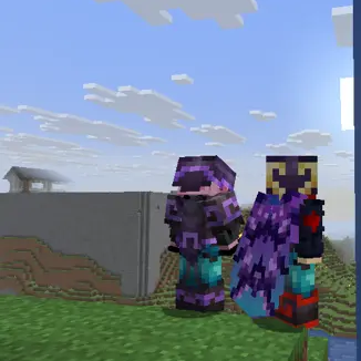 A trimmed Elytra!