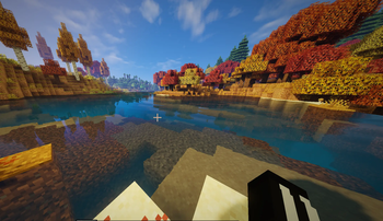 WATER REFLECTIONS