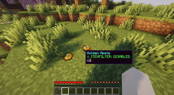 Item Tooltip with item filter disabled on this item