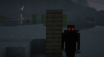 This mod looks good with Shaders!