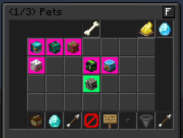 Active Pet & Favorite Pets
