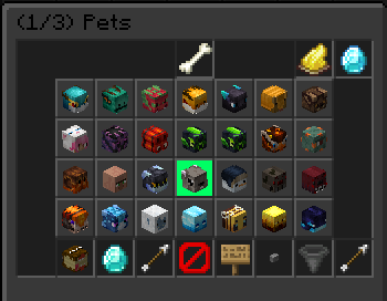 Active Pet