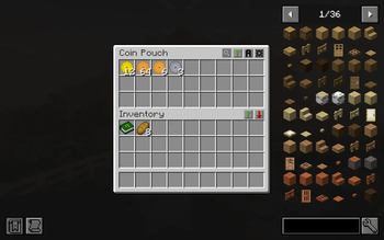 Coin Pouch