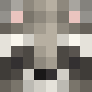 NotFoxxz