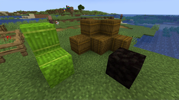 Bundle of Sugar Cane, Bundle of Sticks, and Charcoal Block