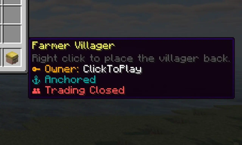 Villager Properties