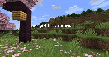 Vanilla