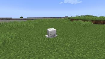 Dried Ghast