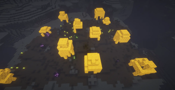 End Wilds With BSL shaders