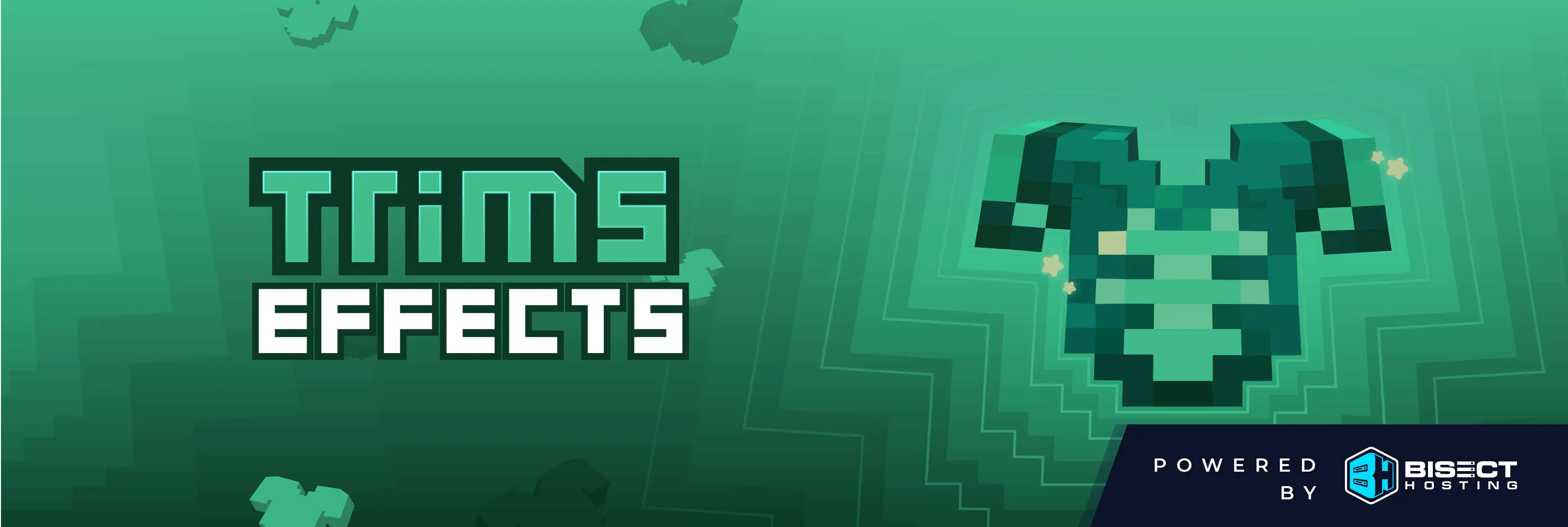TRIMS EFFECTS BANNER