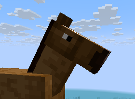 HorseInfo