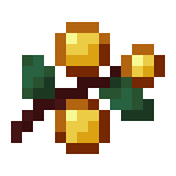 GSB - Golden Sweet Berries