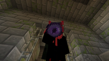 Purple Portal and Eyes