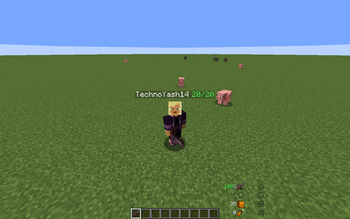 Numeric Mode