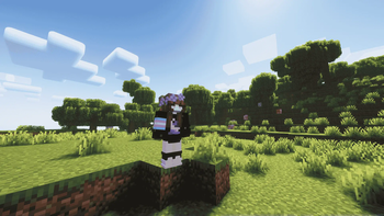 Complimentary reimagined shaders 2
