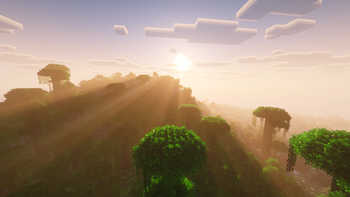 Jungle Sunrise