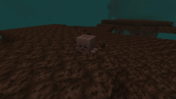 Dried Ghast in Nether