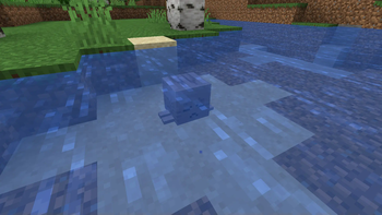 Dried Ghast in Water