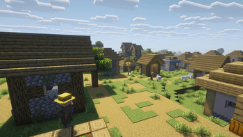 Village 