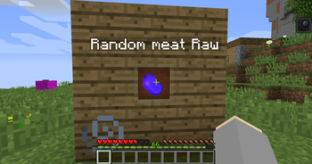 Random Raw Meat