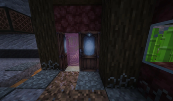 Teleporter Doors