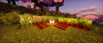 Crops