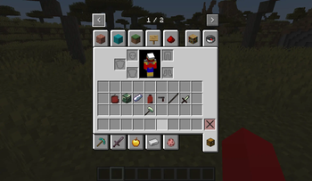 The Items