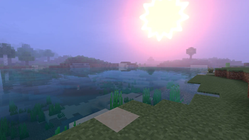 IMAGE-5