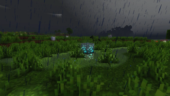 Rain