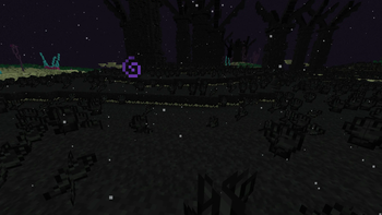 The End Update