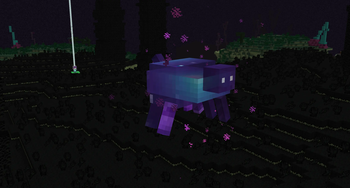 The End Update