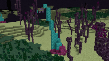 The End Update