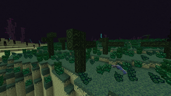 The End Update