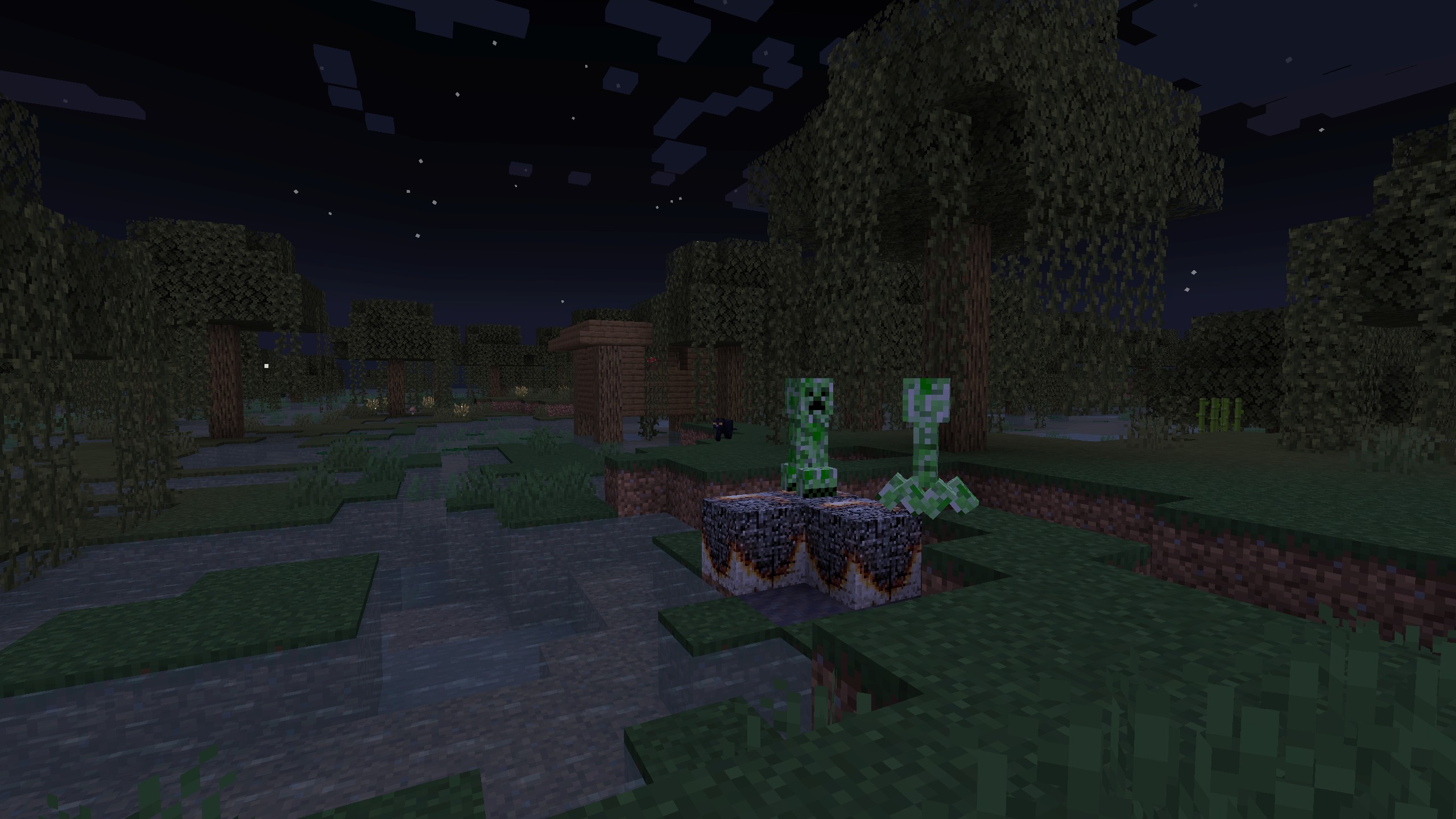 Swamp