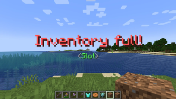 Inventory Full Warning
